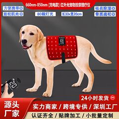 猫、犬、馬などの背中と腹部の怪我や骨折、遠赤外線リハビリテーションと治癒のための国境を越えた充電式ペット用赤色光理学療法機器
