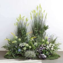 ��β�Ͳ���β�Ͳݹ�β��é�ݷ���Gֲ�������ϲݹ���ܛ�b�쾰���l