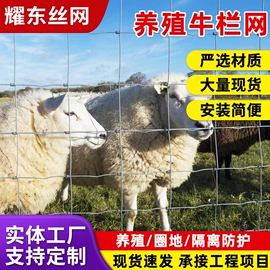 铁丝网;土工格栅;防护栏