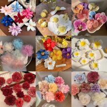 �߼��Շ��к����m����ץ�A��Ⱦɫ�l�A�M��߅�AŮ�l��������^�