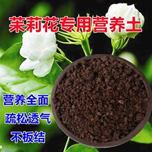 Ƅ�����w�����tɳ���������辰���L���N���������Gֲ