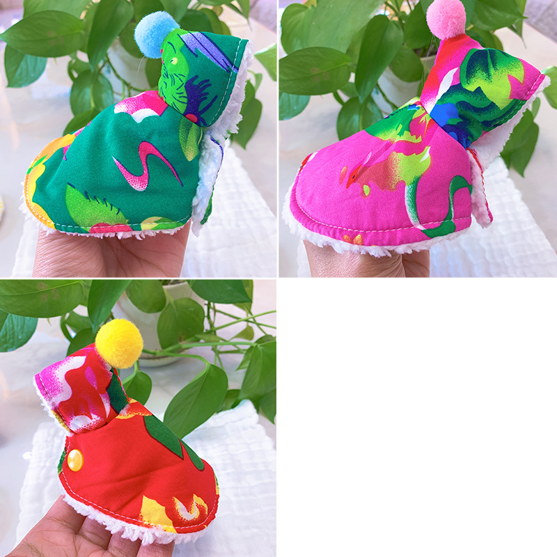 붉은 북동쪽 큰 꽃