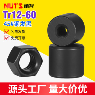 T���������z�U�A��ĸ�ߏ��Ȱl�ڴ�����������������ĸT12-T60