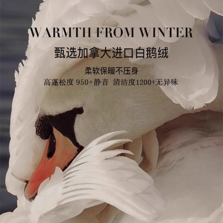 ?加拿大高奢羽绒被98白鹅绒冬被加厚保暖被芯子母绒丝喜被春秋被