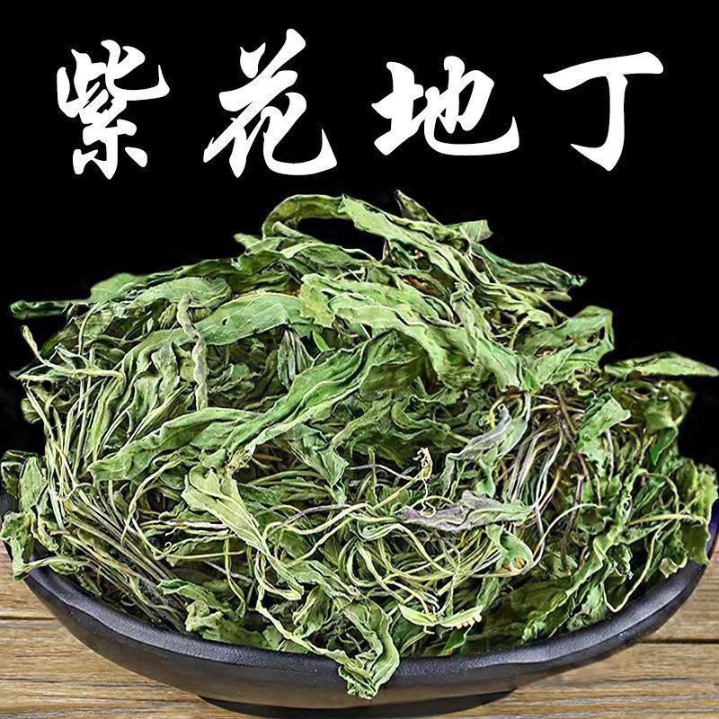 紫花地丁新鲜中干燥度高草地丁犁头品质梨头草泡茶泡水紫花地丁