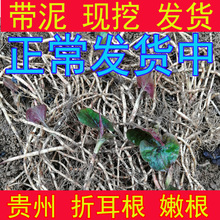 �۶��� �~�Ȳ� ���r ��ʳ���� �F���߲�Ұ�� �r���۸� �F�ڲ�ϴ