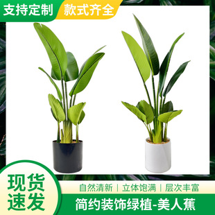 ˽ Ž10~bGֲԿ͏dֲ˽