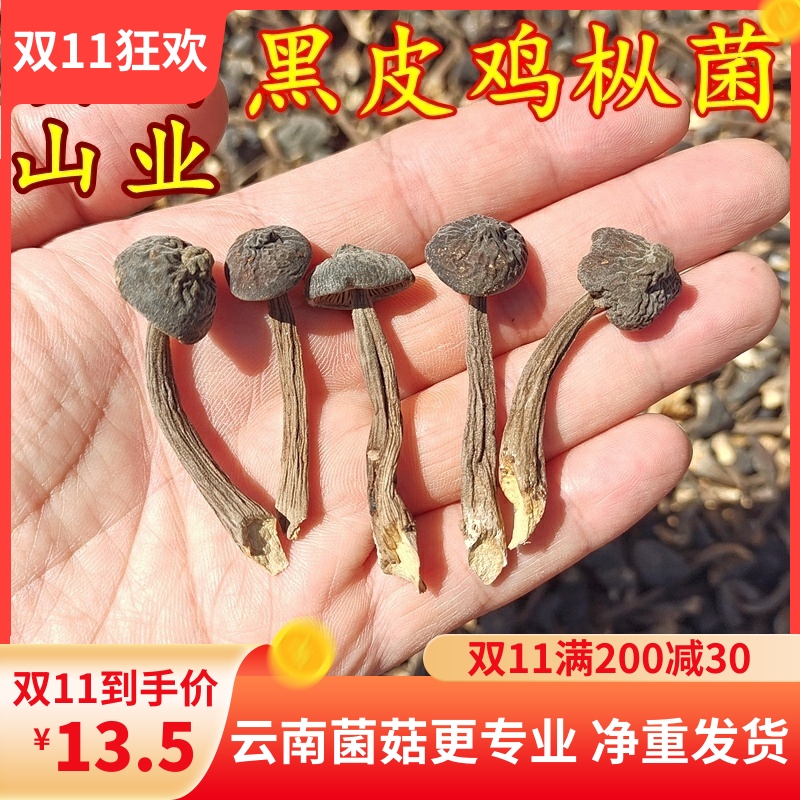 云南黑皮鸡枞菌干货 山珍特产50克装味道鲜蘑菇香菇美食用农产品