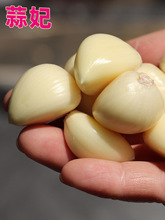 nɽȥƤ5bɽ|r^ֹƤøӰ