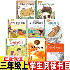 牛のお腹の中を旅行しています。