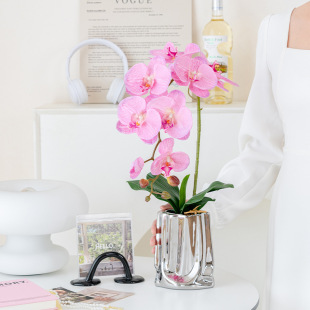 51cm�����m�������y�մɻ�ƿ���滨�[���ٻ��͏d�b�������