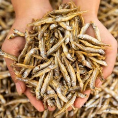 小鱼干大量批发淡水干咸鱼生晒农家鱼仔小河鱼散装干货群木其他