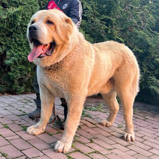 ���N��Ǽ��Ё�����Ȯ���w��Ȯ���������o�lȮ����Ȯ����С������