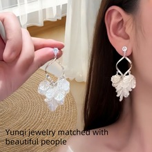 2025��ʽ�������Ŷȼ��L�������K���h�W�������p�݂��Դ��߼���