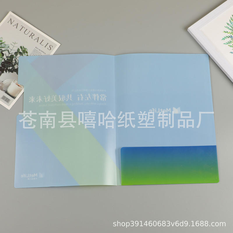 厚みのあるダブルポケットインサートフォルダー L 字型フォルダー A4 プラスチック PP オフィスフォルダーシングルページフォルダーカスタムロゴ|undefined