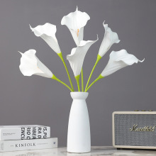 RɏEVA^ָRɏcYb廨Ĕzٻ