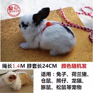 �}�����K���ӽ�z�ܺ��m�i�����󱳎�ʽ���K�·���߂}����Ʒ