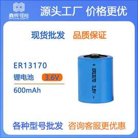 电台雷达电池ER13170 600mAh 3.6V仪表专用锂亚一次性电池