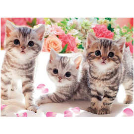 厂家批发新款 5d钻石画diy满钻三只小猫动物刺绣帆布来图片可制作