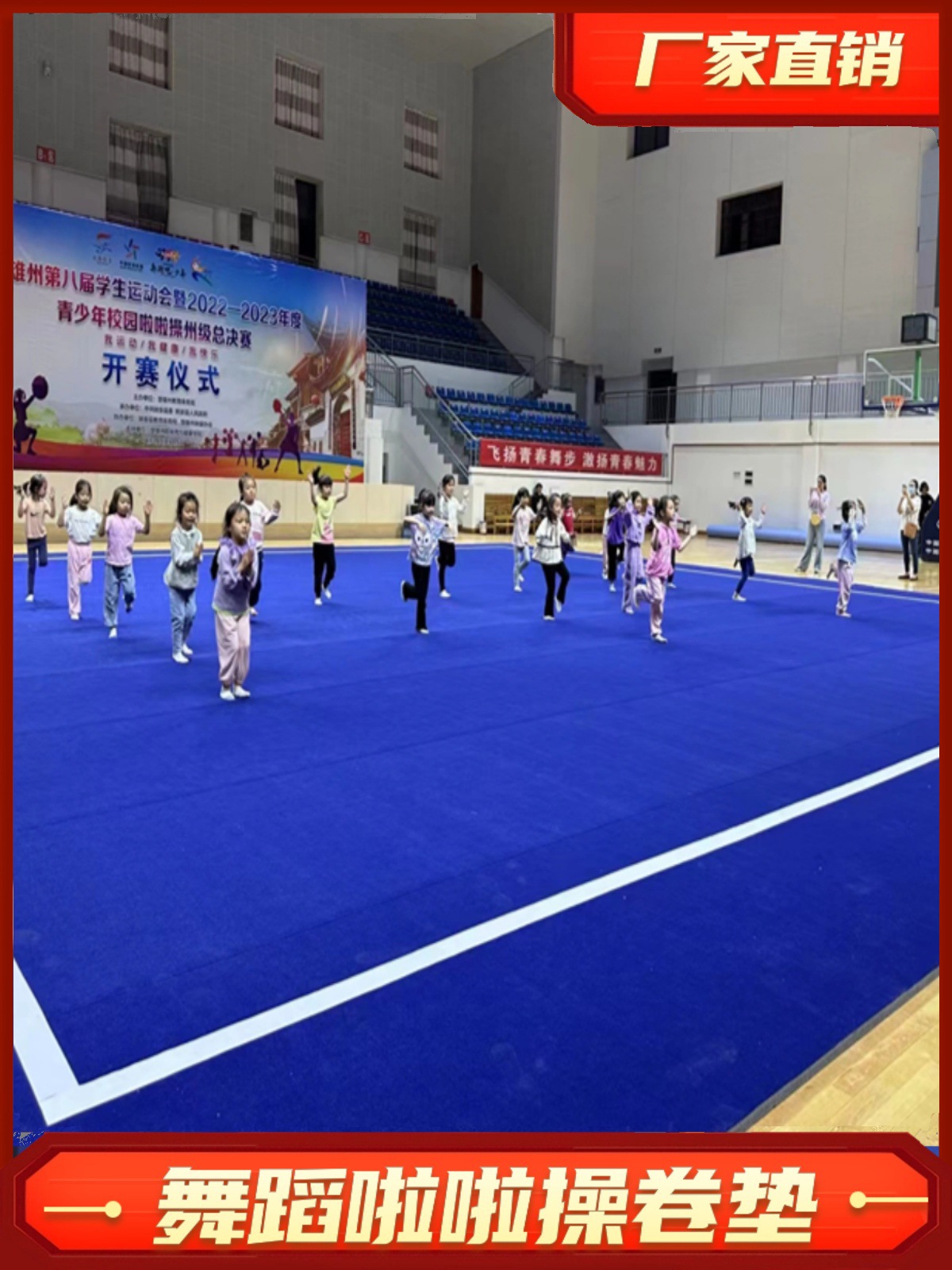 Cheerleading Roll Mat, Artistic Gymnastics Mat, Aerobics, Martial Arts, Sanda, Fighting, Fitness Training, Dance Floor Mat
