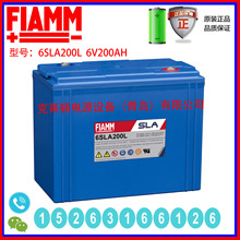 FIAMM��늳�6SLA200L 6V200AH���g���Դ�T��ϵ�y���g���Դ