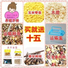买1送8仓鼠活体金丝熊宠物布丁银狐活物三线奶茶活物笼子一对情侣