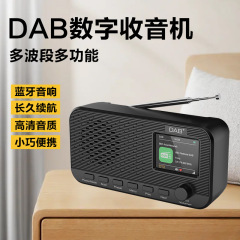 新型携帯性のかばんデジタルラジオのブルートゥースオーディオの大容量の電池の長い航続の越境の工場は直接販売します。