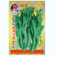 TSֱشļNֲ  @߼ͽ̦