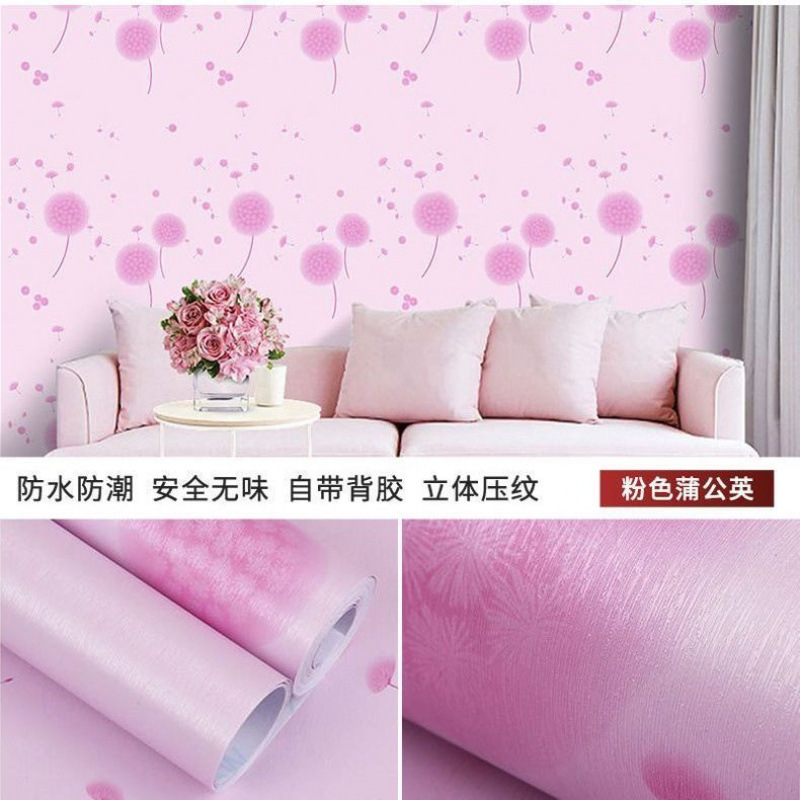 핑크 민들레.★★