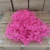 Deep powder about 400-500g/pack