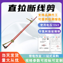 L݆е10kV߉ֱྀоXgQ|