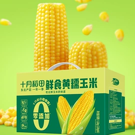 儿童读物;社科生活;四件套