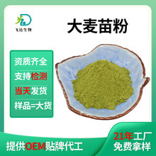 麦苗粉麦绿素粉大麦苗提取物大麦草汁粉大麦苗粉果蔬代餐粉可商检