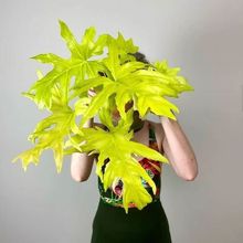 �S���������S�����G�q˺�Ѵ���ِ��ķ���_�S��Ꭷϡ��ֲ������