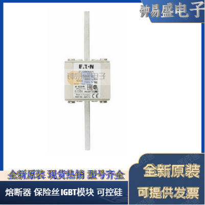 美国BUSSMANN熔断器170M4388  170M4389  170M4390 170M4391