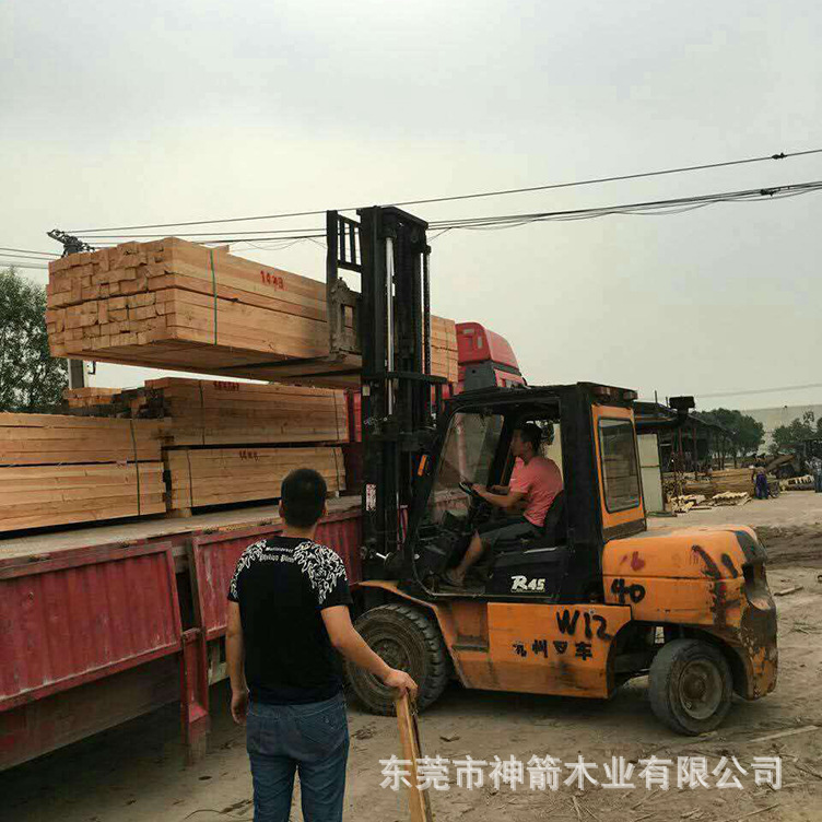 ľ���ӹ� �����ɷ��� ���������� �۸�ʵ��������