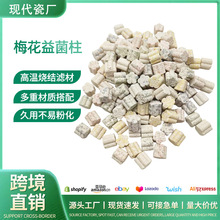 中空硝化纳米石英球细菌屋鱼缸过滤材料陶瓷环梅花环鱼池培菌滤材