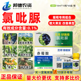 �m�º������������ù�����ь���������a�����`ֲ�����L�{����