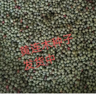 �S�Bľ�N�Ӯa��ֱ�������·N��