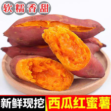 【六鳌蜜薯】福建新鲜地瓜蜜薯10斤烟薯糖心农家自种山芋板栗番薯