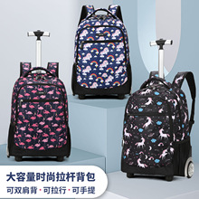 �W�����e���U�������U�䎧݆����С�W�����������p�㻨�����U��