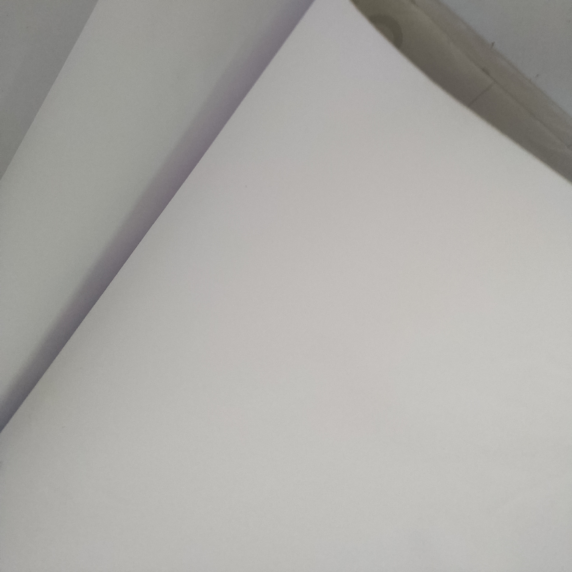 겨울 화이트