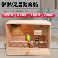 保温箱饲养虎皮牡丹玄凤小太阳育雏手养幼鸟风暖灯暖恒温温控