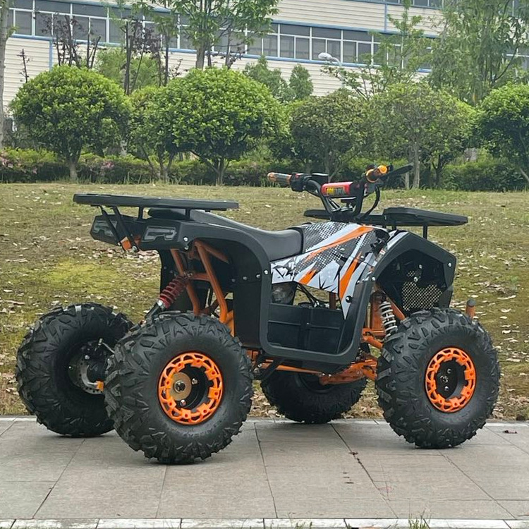 Factory Direct Sales 60V1000W Beach Car Electric Atv Electric All-Terrain Vehicle Electric Utv Electric Go-Kart