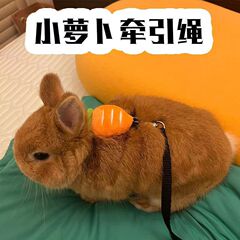 ウサギの牽引ロープは、専用の外出神器である小人のウサギの赤ちゃんオランダの豚のトトロのロープから抜け出すのを防ぎます。