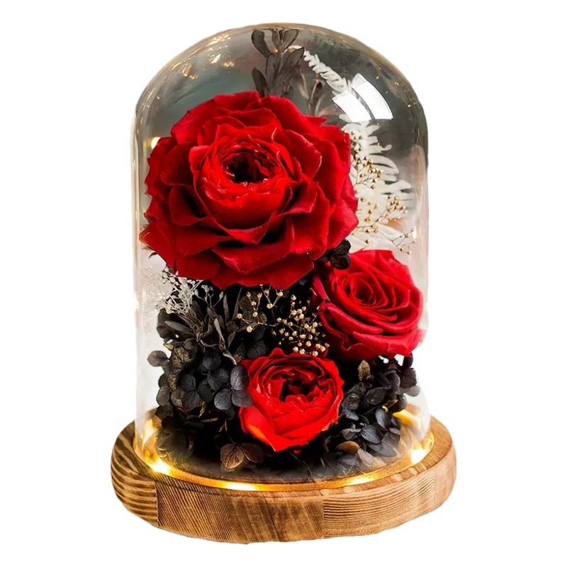 Rosa Eterna en Cúpula de Cristal con Caja de Regalo, Regalo de Flores Reales para el Día de San Valentín, Adorno de Alta Gama con Flor Eterna
