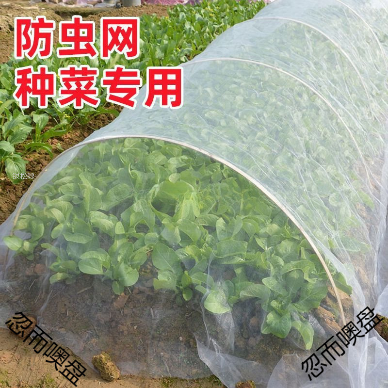 防虫网种菜80目防虫罩加密纱网菜地果园网蔬菜防鸟罩菜园菜地