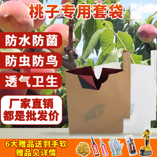 ���ӌ����״����Ӵ�ˮ�����S�Ҷ�������S������ˮ���״���ˮ���x