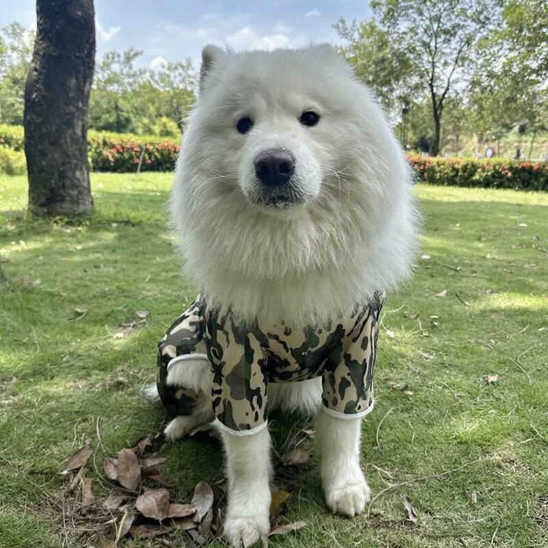 犬服夏薄いメッシュ大型犬ゴールデンレトリバーサモエド四本足服汚れ防止、抜け毛防止夏の日焼け止め|undefined
