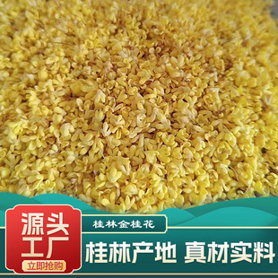 ���b���b�𻨲�V�����ֽ�𻨸�ɢ�b΢���ɹ𻨻��ݲ���_�h��